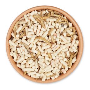 Eiwitrijke insectenmix