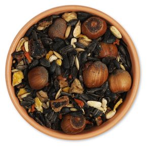 Premium eekhoornvoedermix