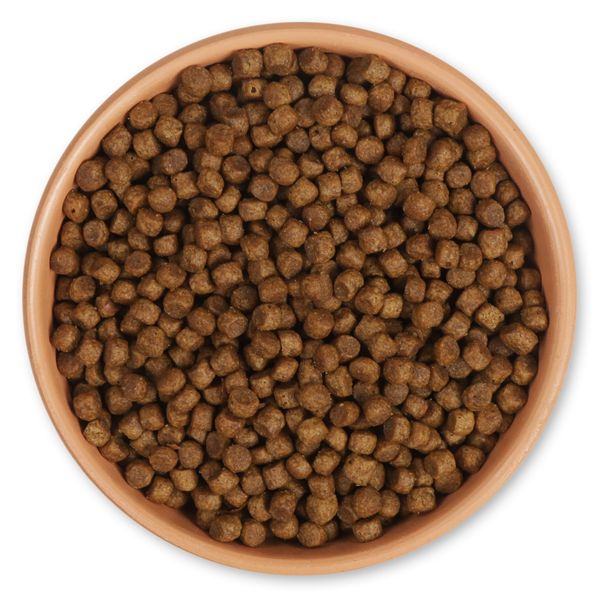 Premium egelbiscuits