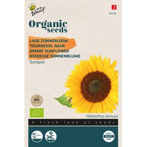 Buzzy® Organic Helianthus annuus type Sunspot  (BIO)