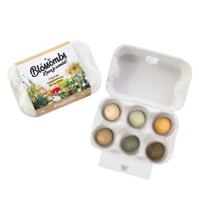 Blossombs Eiergeschenkdoos met 6 zadenbommetjes