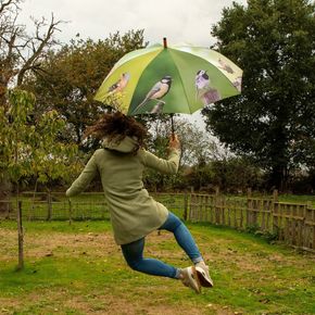 Paraplu met tuinvogels