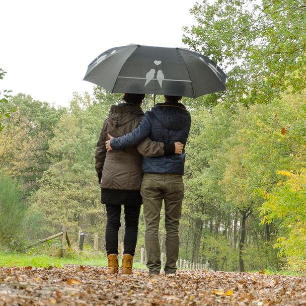 Duoparaplu met vogel silhouet