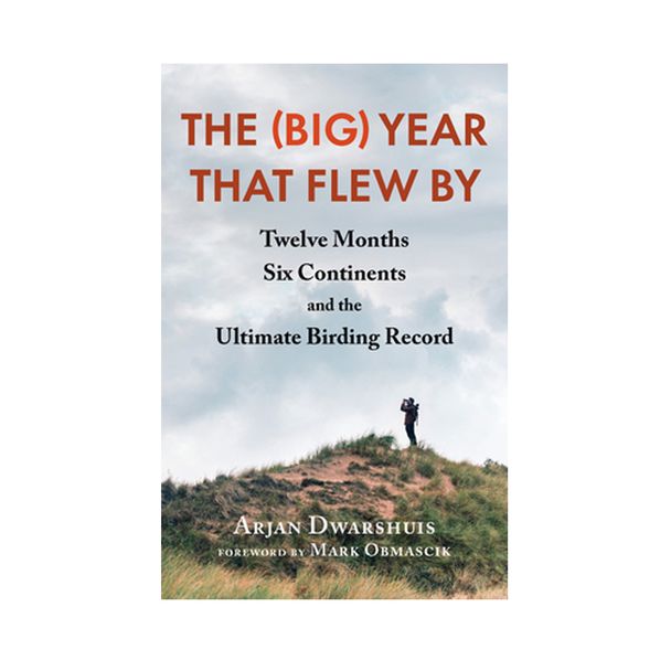 The (big) Year that Flew By