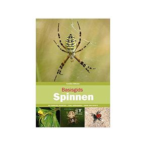 Basisgids Spinnen