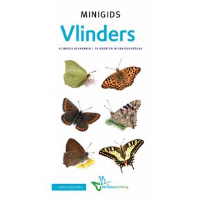 Minigids Vlinders van Nederland en België