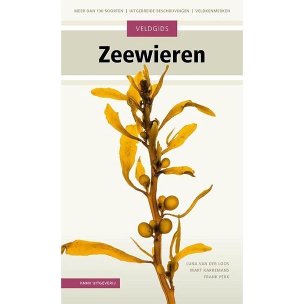 Veldgids Zeewieren