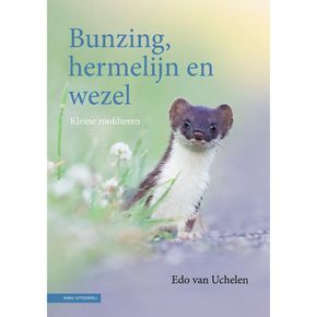 Bunzig, hermelijn en wezel