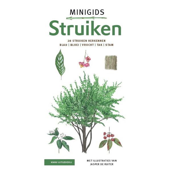 Minigids Struiken