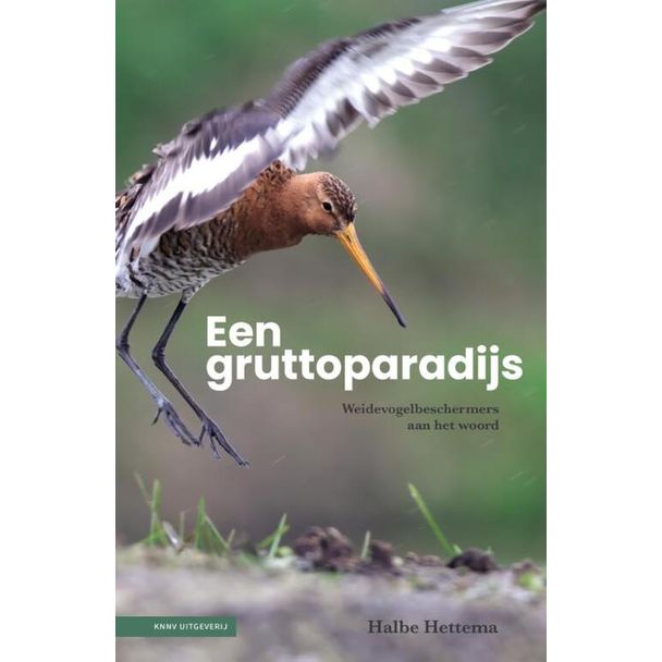 Een gruttoparadijs