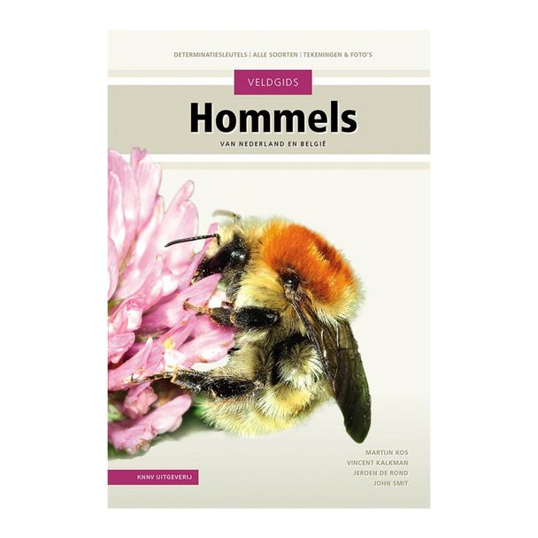 Veldgids Hommels van Nederland en België