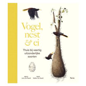 Vogel, nest & ei