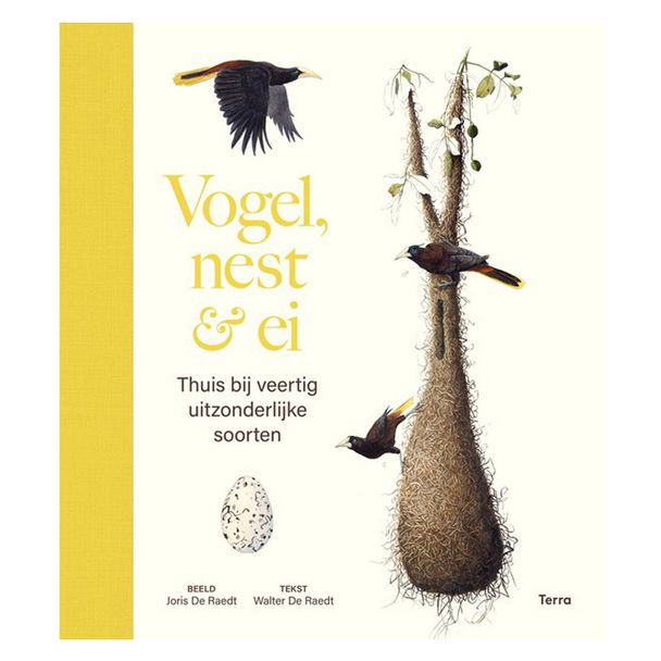 Vogel, nest & ei