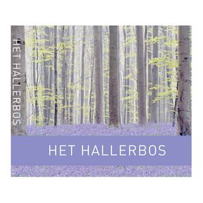 Het Hallerbos