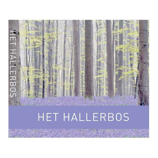Het Hallerbos
