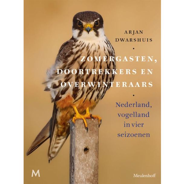 Zomergasten, doortrekkers en overwinteraars