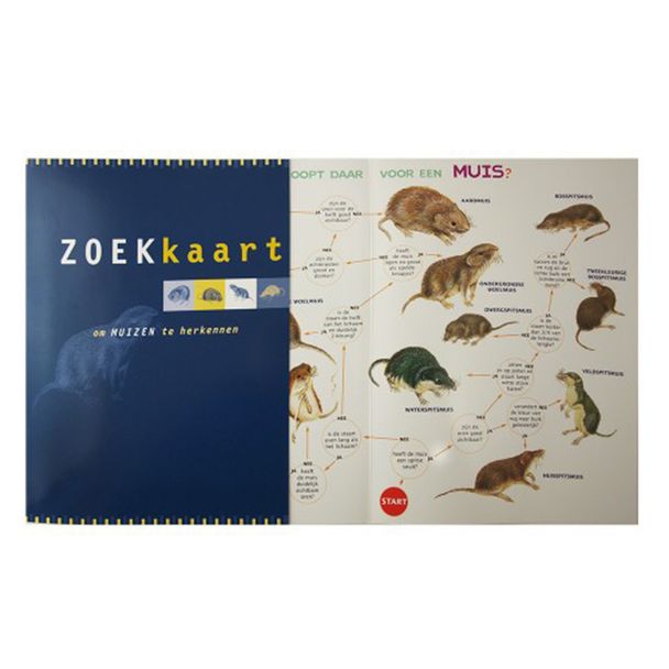 Zoekkaart - Muizen