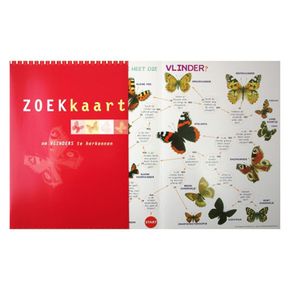Zoekkaart - Vlinders