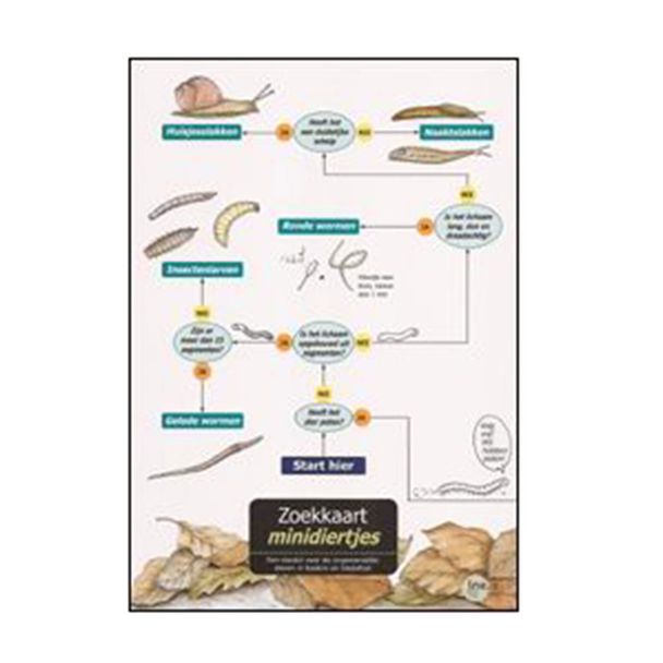 Zoekkaart - Bodemdieren