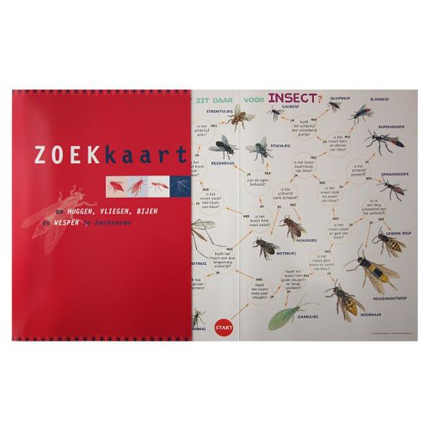 Zoekkaart - Muggen, vliegen, bijen en wespen