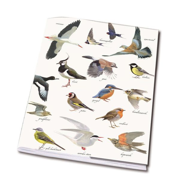 Schrift 'vogels' A5