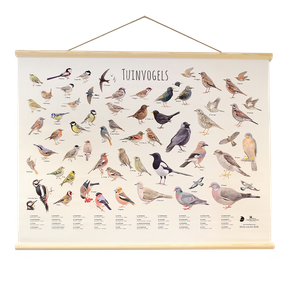 Tuinvogelposter - Elwin van der Kolk