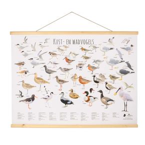 Wandposter Waddenvogels - Elwin van der Kolk