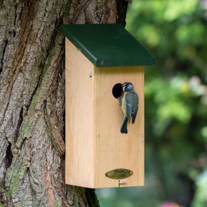 Nestkast San Diego 32 mm - Natuurpunt