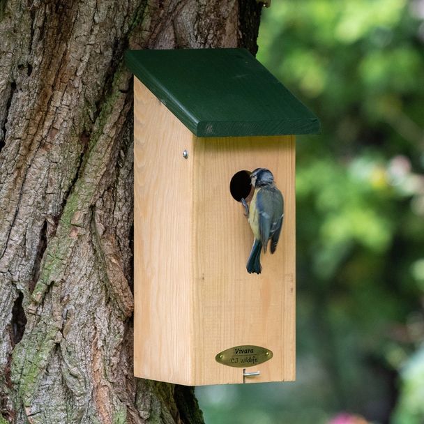 Nestkast San Diego 32 mm - Natuurpunt
