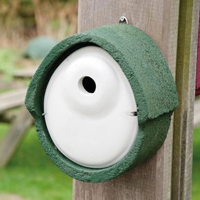 Nestkast WoodStone® ovaal 32 mm groen