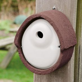 Nestkast WoodStone® ovaal 32 mm bruin