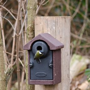 Nestkast WoodStone® Bilbao – 32 mm bruin