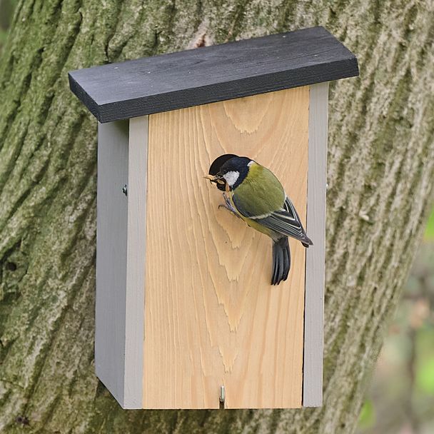 Nestkast Alura Onyx - grijs