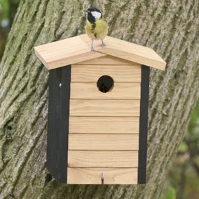Nestkast Alura Jet - naturel