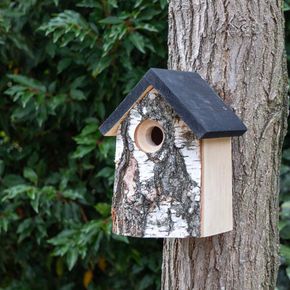 Berken Nestkast Ottawa 32mm