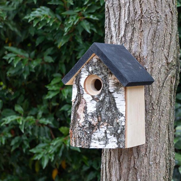 Berken Nestkast Ottawa 32mm