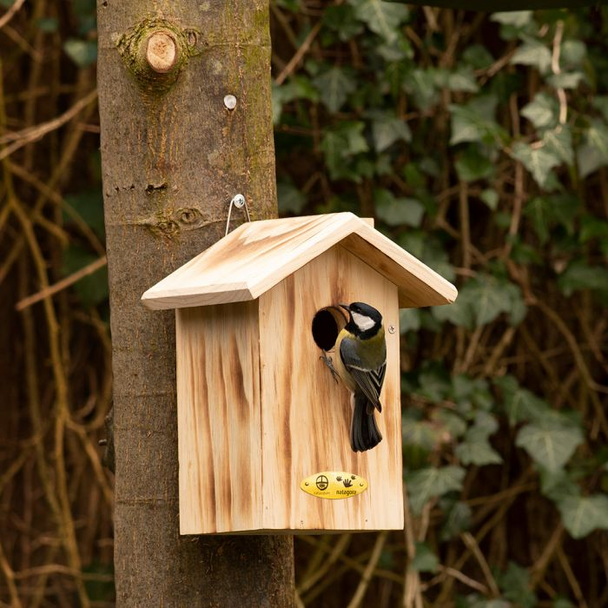 Anson nestkast 34 mm