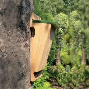 Nestkast Boomkruiper