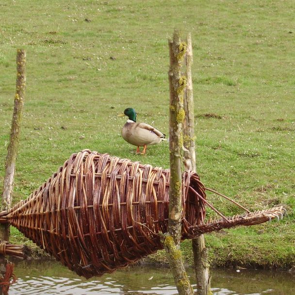 Eendenkorf met landingsplateau