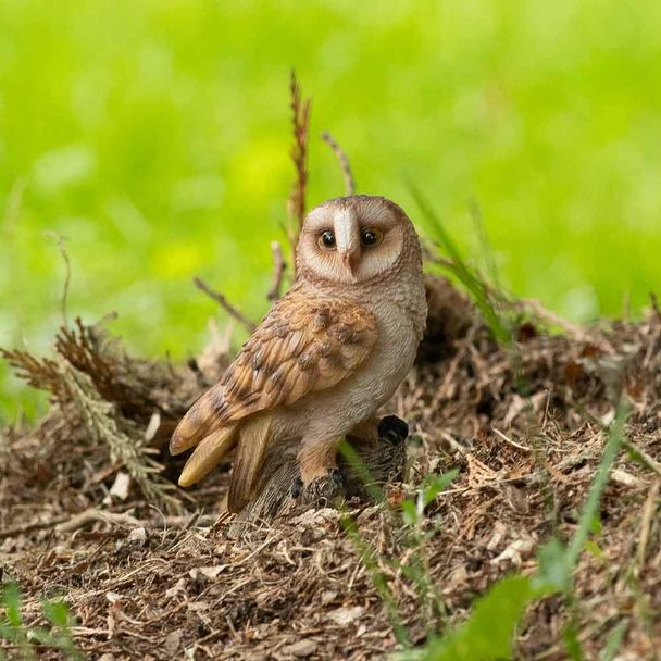 Kerkuil op standaard