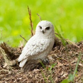 Sneeuwuil op standaard