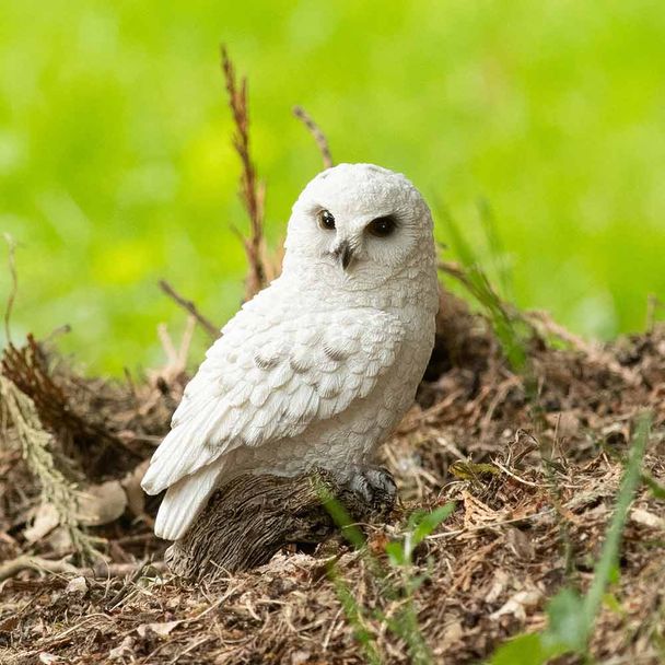 Sneeuwuil op standaard