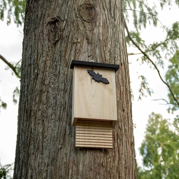 Vleermuiskast Glamis