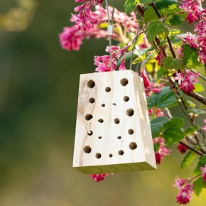 Insectenblok Navariso