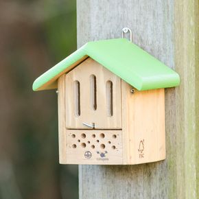 Natuurpunt combikastje Vlinder/Bij
