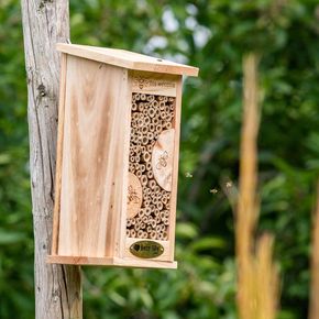 Insectenhotel Marchena