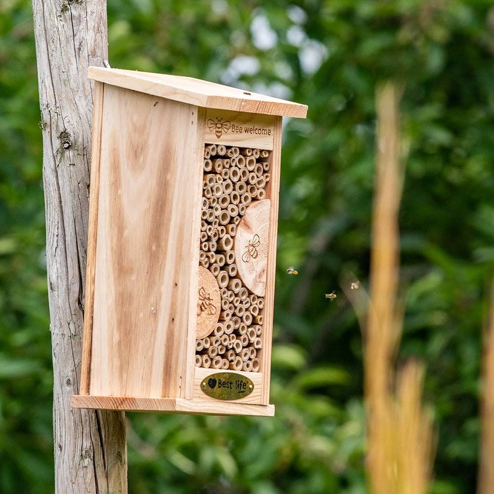 Relaxdays insectenhotel - hout - bijenhotel