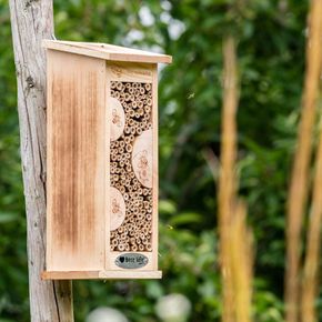 Insectenhotel Floreana