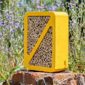 Insectenhotel Salina