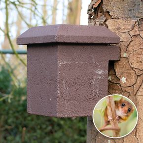 WoodStone® nestkast hazelmuis